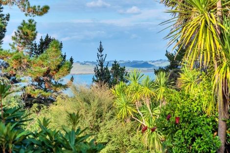 Photo of property in 22 James Mcleod Road, Shelly Beach, Helensville, 0874