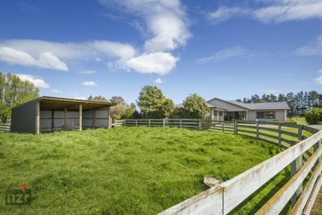 Photo of property in 135 Hansens Line, Newbury, Palmerston North, 4475