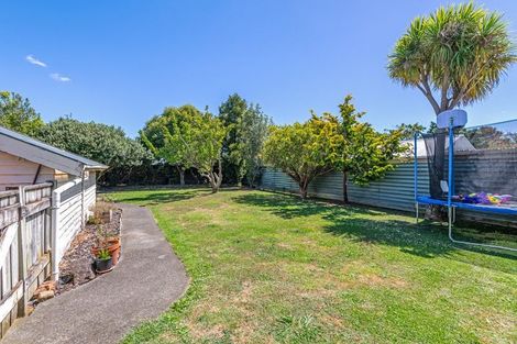 Photo of property in 16 Burns Avenue, Takaro, Palmerston North, 4412