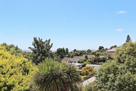 Photo of property in 33 Blair Terrace, Richmond, 7020