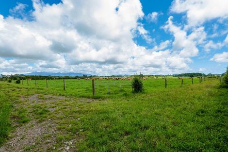 Photo of property in 156 Manutahi Road, Tarurutangi, New Plymouth, 4372