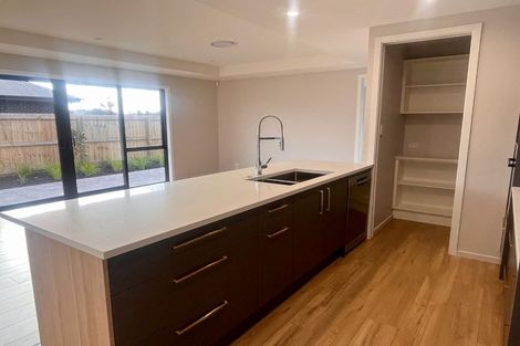 Photo of property in 35 Russell Lilley Drive, Rolleston, 7614