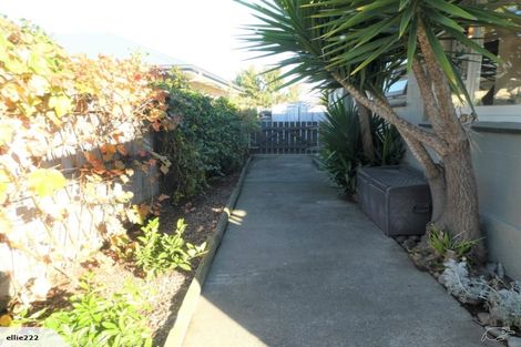 Photo of property in 28 Alma Street, Renwick, 7204