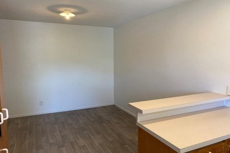 Photo of property in 10b Torrens Road, Hillmorton, Christchurch, 8024