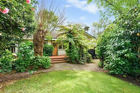 Photo of property in 24 Myrtle Street, Hamilton East, Hamilton, 3216
