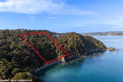 Photo of property in 25 Titore Way, Russell, 0202