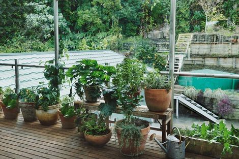 Photo of property in 18 Matakatia Parade, Matakatia, Whangaparaoa, 0930