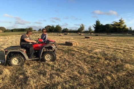 Photo of property in 319 Penny Road, Rongotea, Palmerston North, 4479