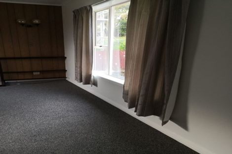 Photo of property in 14 Massey Avenue, Greenlane, Auckland, 1061