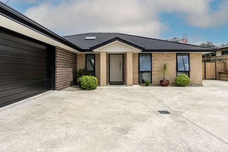 Photo of property in 1 Sudeng Street, Levin, 5510