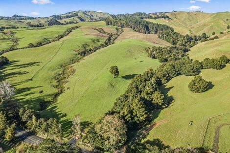 Photo of property in 216 Haruru Road, Kaukapakapa, 0873