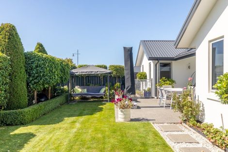 Photo of property in 15 Chimera Street, Pegasus, 7612