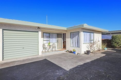 Photo of property in 5/800 Lane Street, Mahora, Hastings, 4120