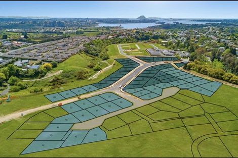 Photo of property in 67 Hass Drive, Ohauiti, Tauranga, 3112