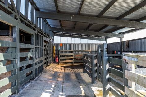 Photo of property in 80541 Masterton Road, Woodville, 4999