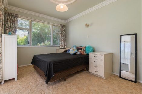 Photo of property in 113 Pahiatua Street, Hokowhitu, Palmerston North, 4410