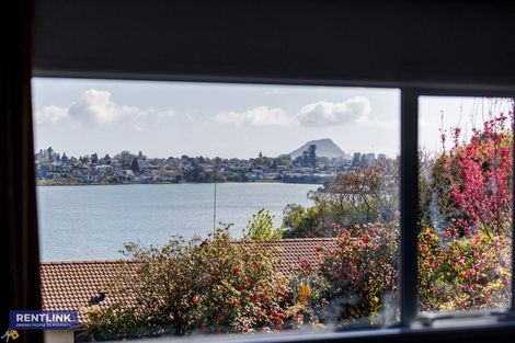 Photo of property in 67 Haukore Street, Hairini, Tauranga, 3112