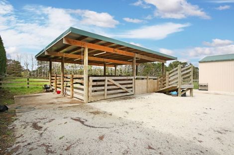 Photo of property in 53 Percy Millen Drive, Waiau Pa, Pukekohe, 2679