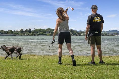 Photo of property in 65a Maxwells Road, Otumoetai, Tauranga, 3110