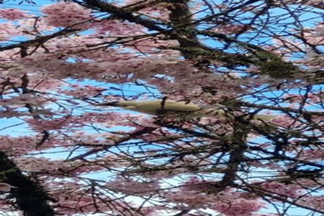 Photo of property in 4003 State Highway 4, Ongarue, 3997