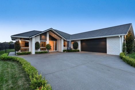 Photo of property in 42 Roy Hilton Drive, Flagstaff, Hamilton, 3210