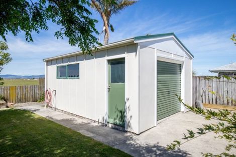 Photo of property in 8 Harris Place, Ngatea, 3503