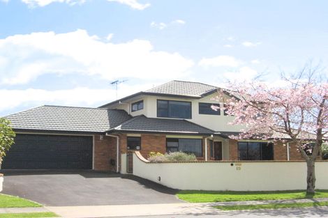 Photo of property in 69 Bethlehem Heights, Bethlehem, Tauranga, 3110