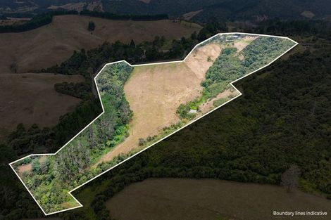 Photo of property in 592 Kanohi Road, Kaukapakapa, 0873