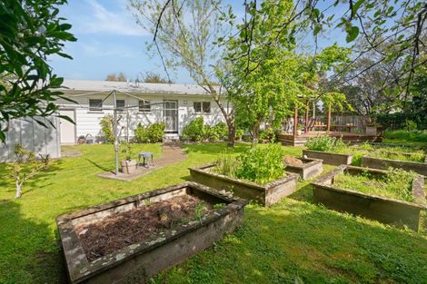 Photo of property in 9 Loasby Place, Greytown, 5712