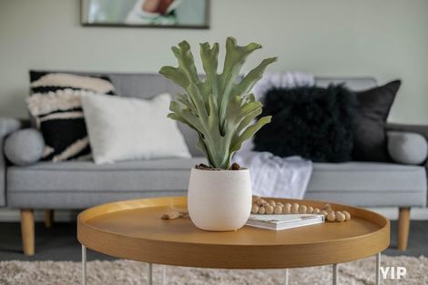 Photo of property in 58 Catherine Crescent, Paparangi, Wellington, 6037