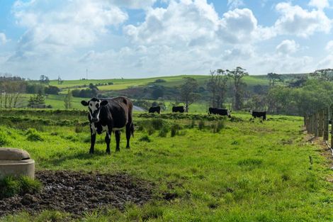 Photo of property in 14 Shropshire Street, Karaka, 2580