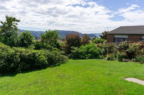 Photo of property in 21 Sheen Street, Roslyn, Dunedin, 9010