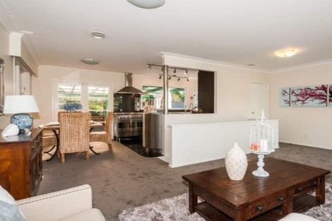 Photo of property in 14 Sovereign Place, Glenfield, Auckland, 0629