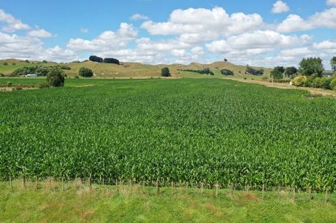 Photo of property in 46 Oparatai Road, Mangatainoka, Pahiatua, 4982