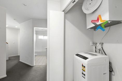 Photo of property in 4a Myrtle Crescent, Mount Cook, Wellington, 6021