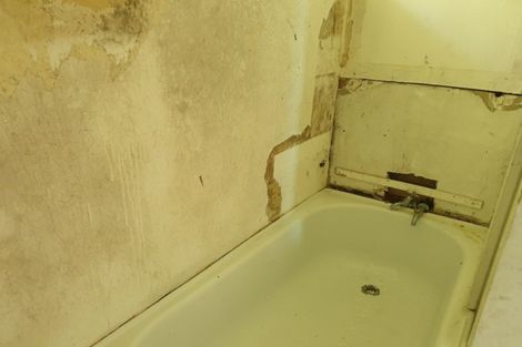 Photo of property in 16 Whiteman Road, Kawakawa, 0210