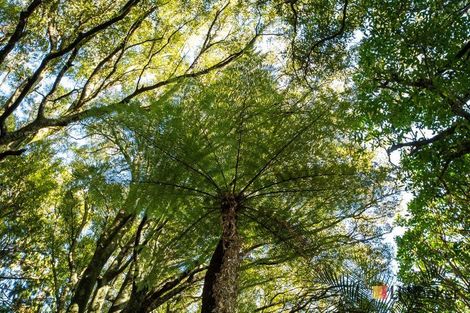 Photo of property in 166b Heard Road, Waihi, 3681