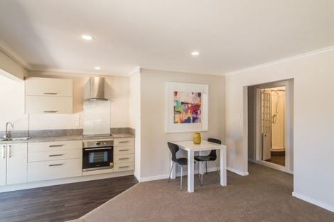 Photo of property in 1/219 The Terrace, Wellington Central, Wellington, 6011