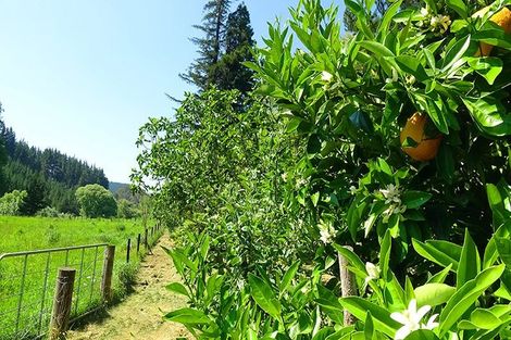 Photo of property in 46 Ruapapa Road, Frasertown, Wairoa, 4195