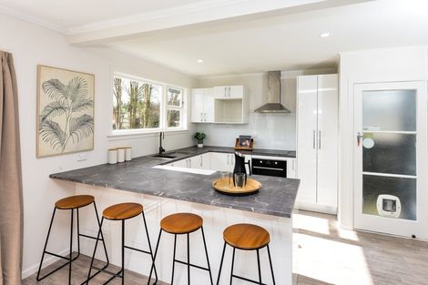 Photo of property in 18 Patrick Place, Fitzroy, Hamilton, 3206