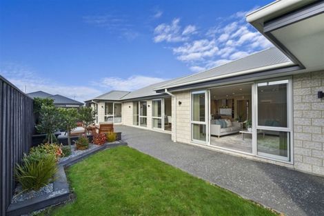 Photo of property in 41 Sunline Avenue, Lincoln, 7608