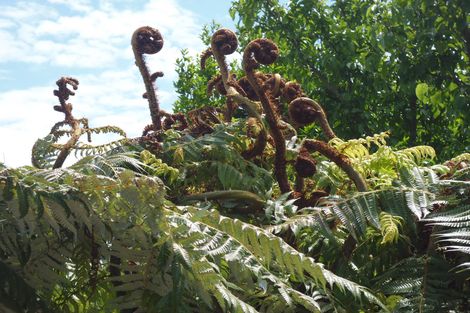 Photo of property in 47 Goring Street, Opotiki, 3122