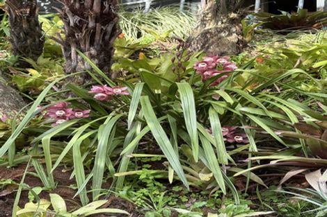 Photo of property in 1/307 East Coast Road, Mairangi Bay, Auckland, 0630