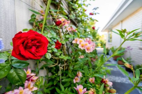 Photo of property in 21a Queens Drive, Saint Kilda, Dunedin, 9012