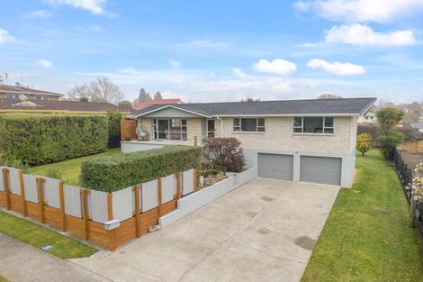 Photo of property in 39 Seales Road, Morrinsville, 3300