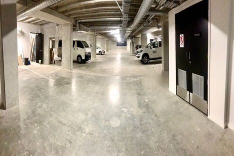 Photo of property in 509/8 Kingsland Terrace, Kingsland, Auckland, 1021