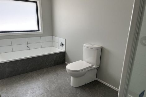 Photo of property in 48c Hokio Beach Road, Levin, 5510