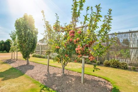 Photo of property in 4 Piako Drive, Darfield, 7571