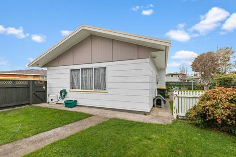 Photo of property in 19a Burn Street, Levin, 5510