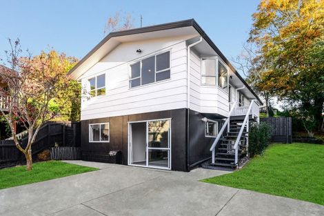 Photo of property in 19 Phoenix Place, Dinsdale, Hamilton, 3204